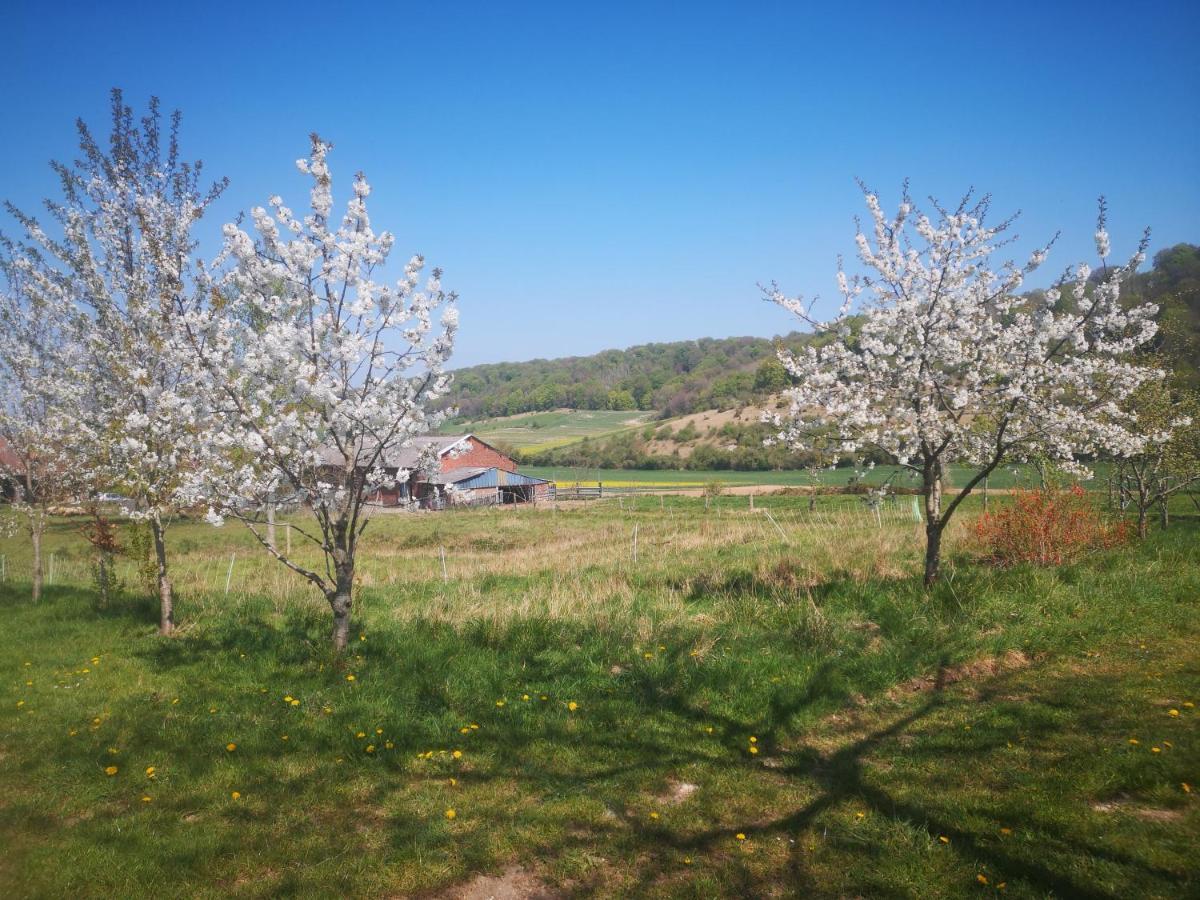 Nature Monchy Campneuseville 外观 照片